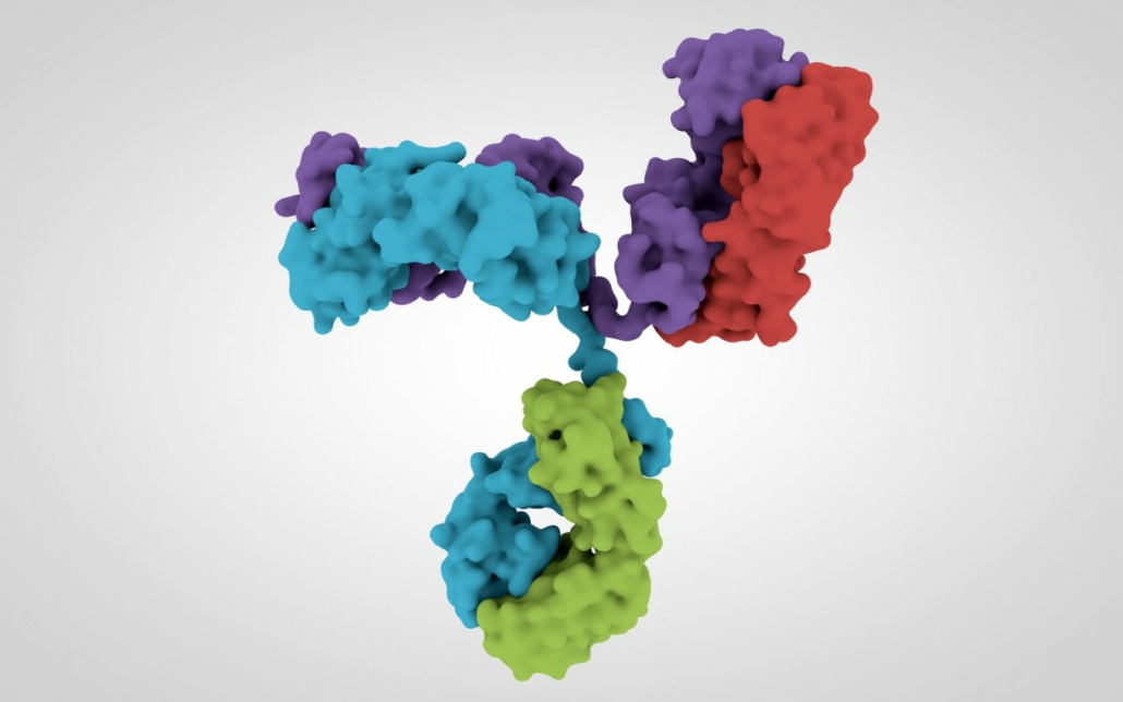 Humanized antibody innovation: Top tips for outsourcing featured image