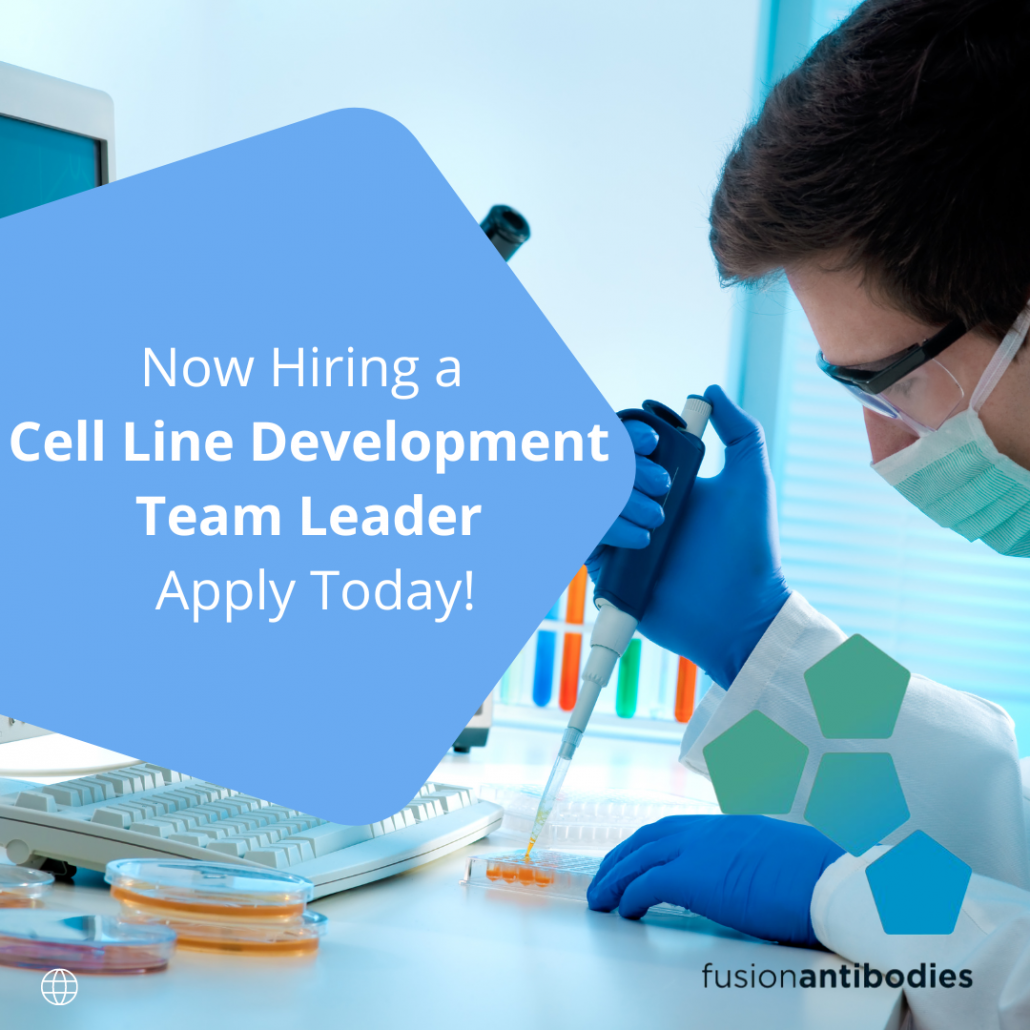 CLD Team Leader featured image