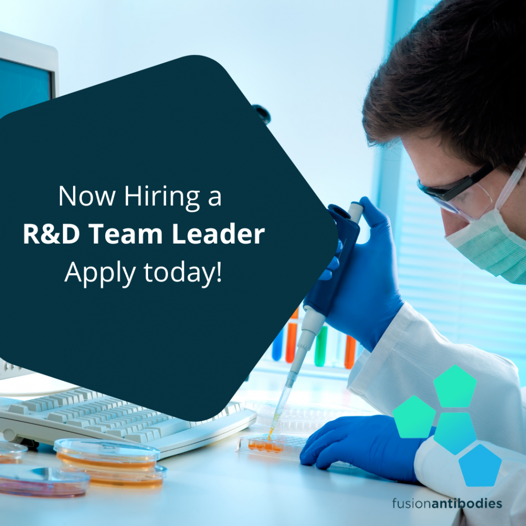 R&D Team Leader featured image