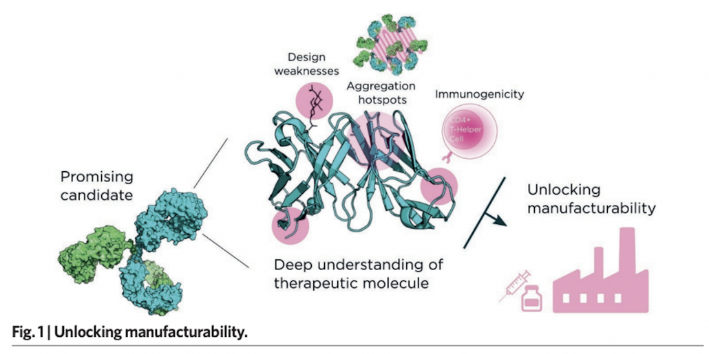 Fusion Antibodies: Quality By Design featured image