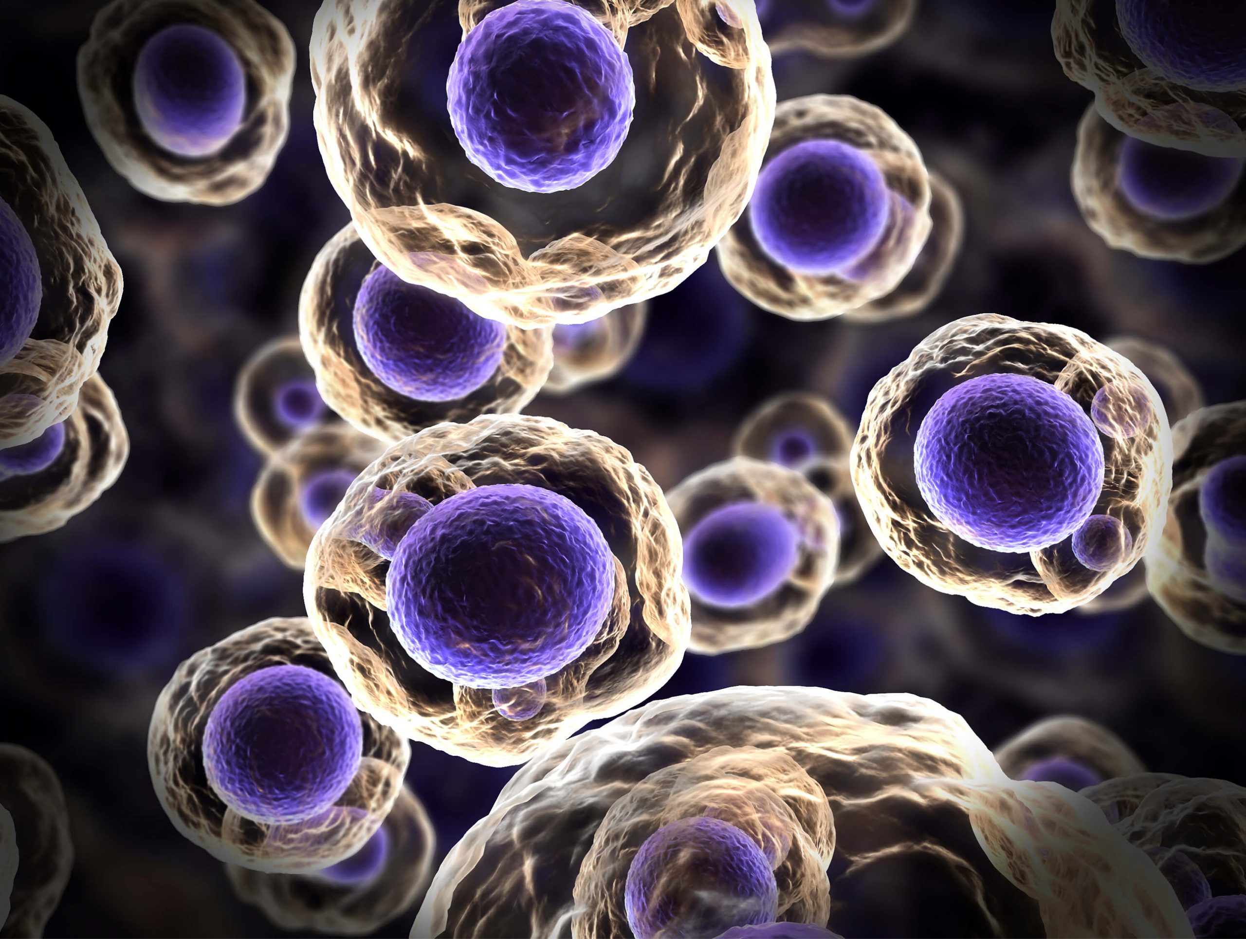 Fusion laboratory supporting Cell Line Development
