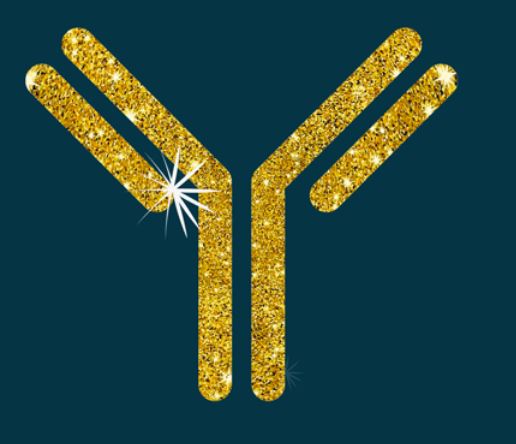 Fusion laboratory supporting Antibody Supply