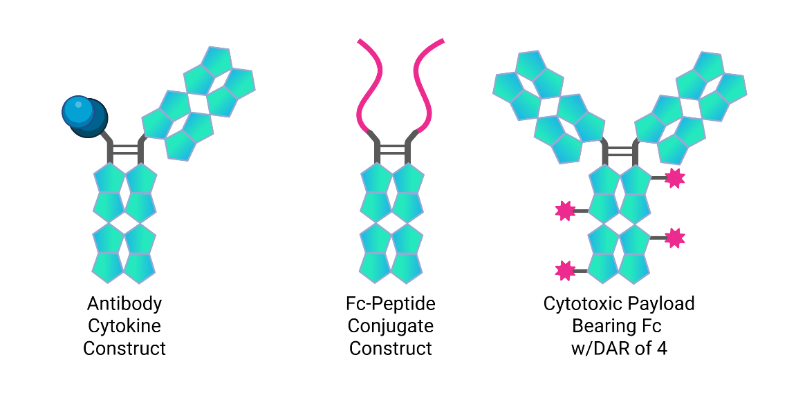 Reformatting Antibodies for Precision and Performance illustration