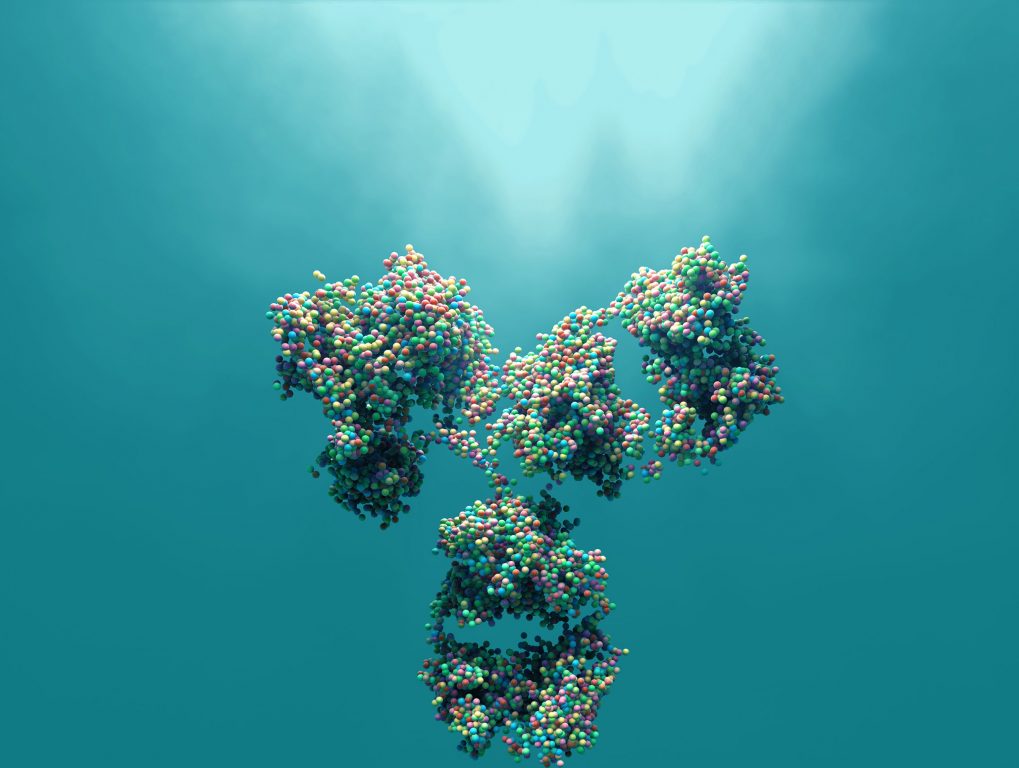 Fusion laboratory supporting Antibody Characterization